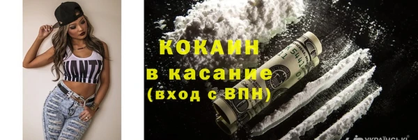 стаф Осинники