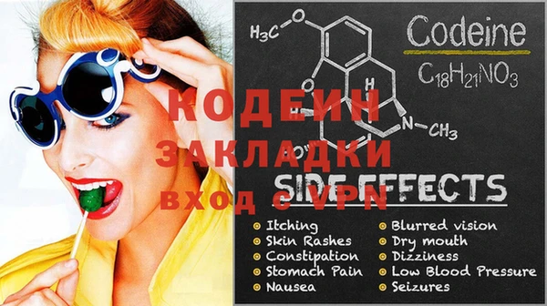 стаф Осинники