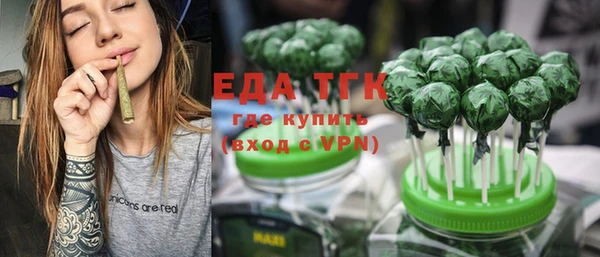 стаф Осинники