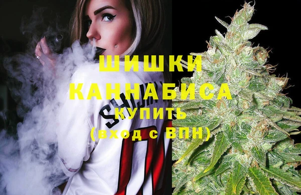 тгк Осташков