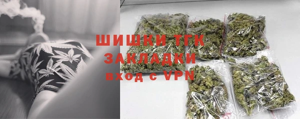 стаф Осинники